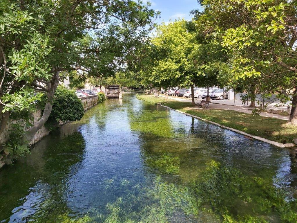Gite Dans Les Pins Avec Piscine Villa Mazan Exterior foto