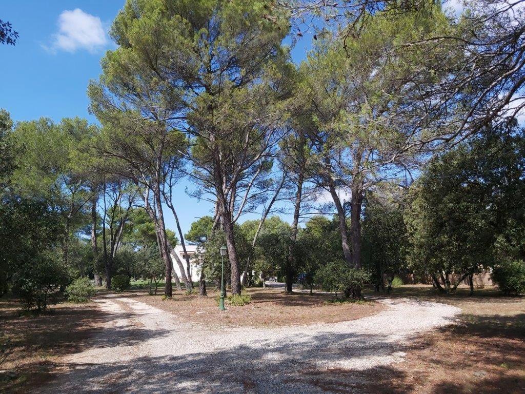 Gite Dans Les Pins Avec Piscine Villa Mazan Exterior foto